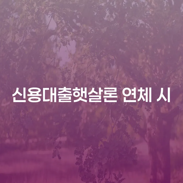 개인회생파산 개인회생으로 해결 꼭 해야하는 일