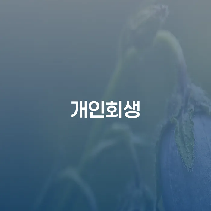 개인부채 신용회복 급증하는