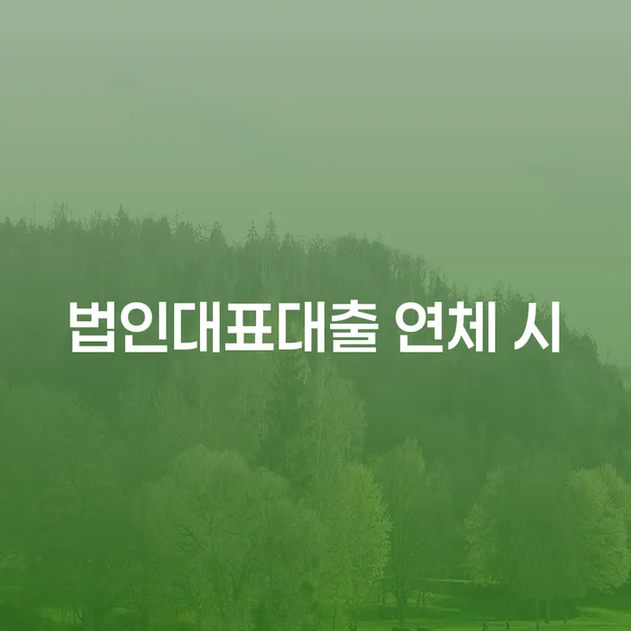 신불자 대출 연체 개인회생 결정나고