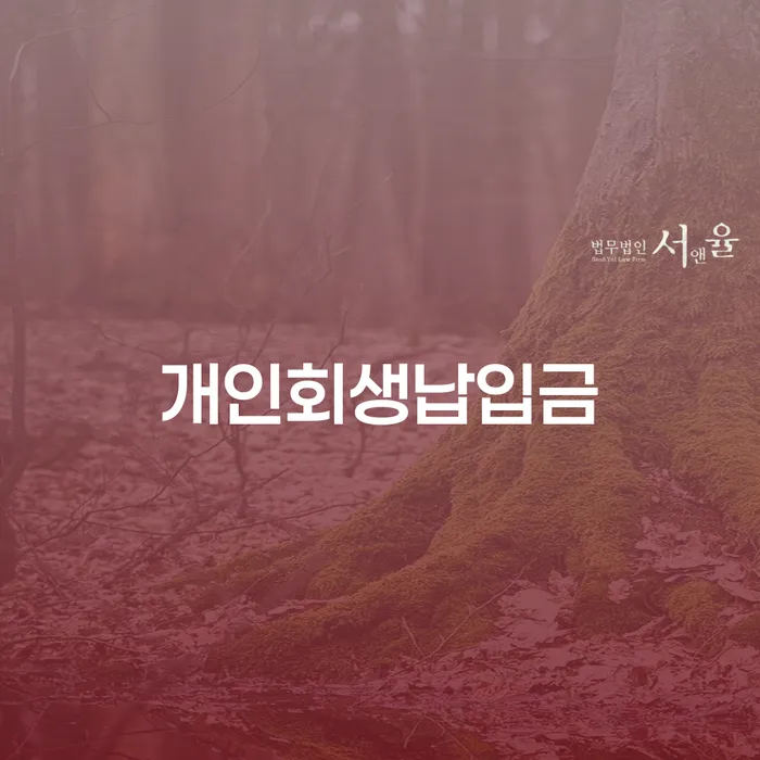 개인회생전문 개인회생 제도 추천하는 법률사무소