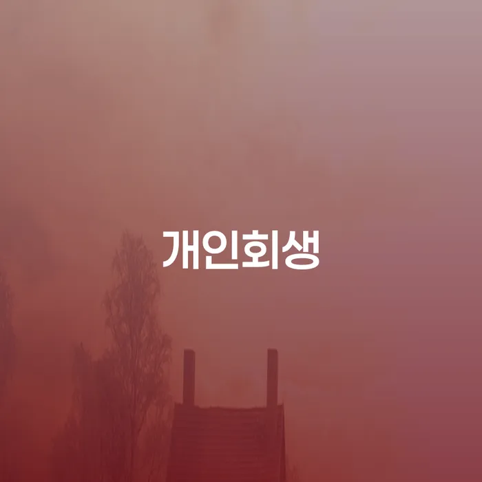 파산전문법무사 개인회생 처리방법 판단을위해