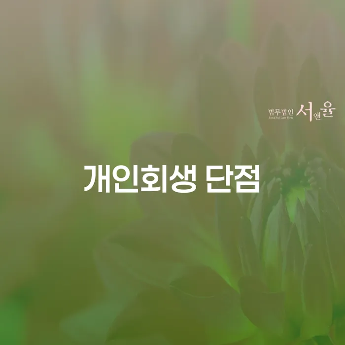 무료개인회생 대출 연체 개인회생 성공은