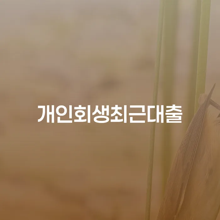 파산면책비용 카드빚 연체 잘 하는 변호사