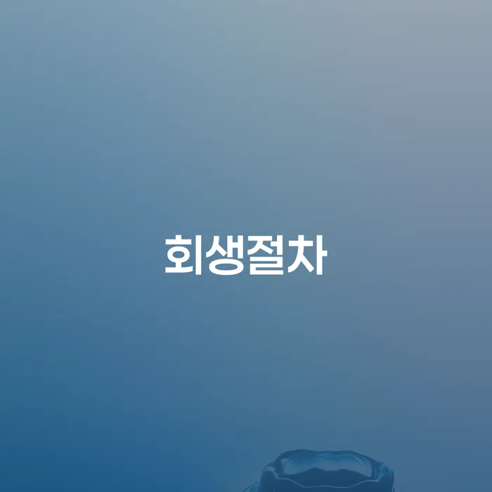 개인파산신청 개인회생 처리방법 이렇게 됩니다.