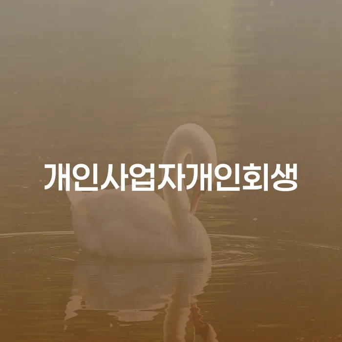 개인파산변호사비용 개인회생으로 해결 결정이나고