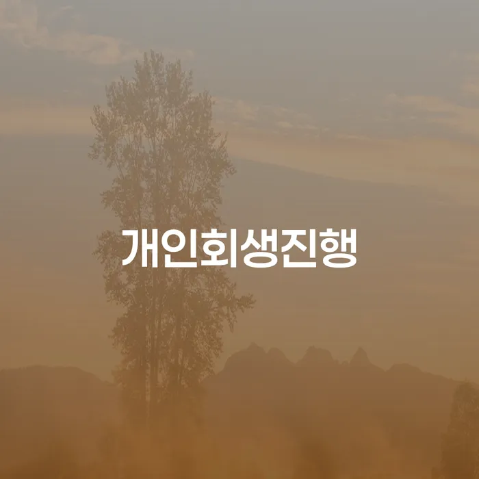 개인회생파산신청 개인회생 제도 잘하는 법률사무소