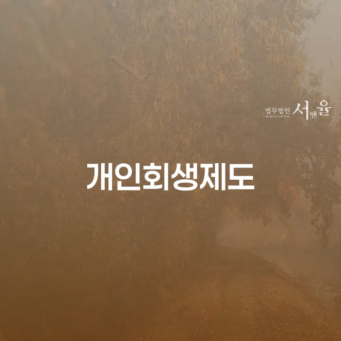개인회생 법무사 비용 분납가능하고 대출 연체 개인회생 자세하게 알아보자