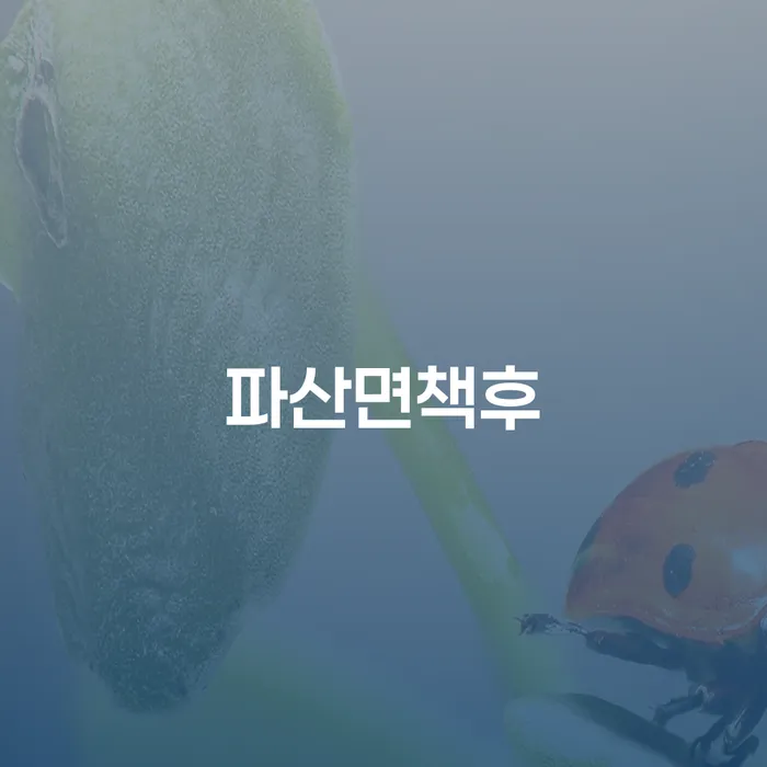 부채증명원발급 개인회생으로 해결 해결 방법 알려드려요.