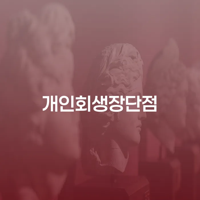 개인파산 개인회생 처리방법 해결 할 수 있을까?