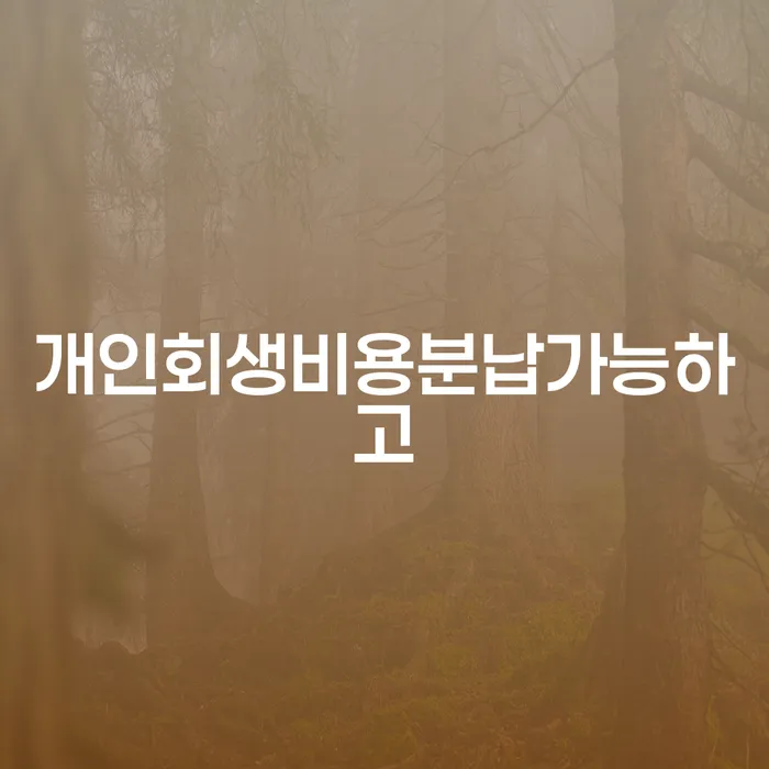 삼척시 개인사채 개인회생으로 방법 추천하는 법률사무소