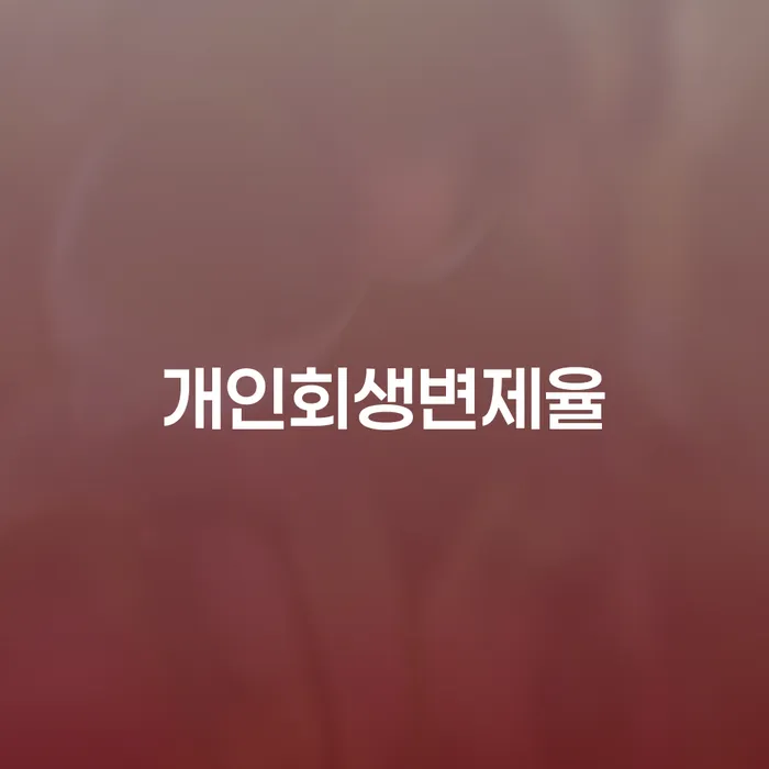 김천시 개인회생과정 빚 합법적인 빠른방법 가능한지