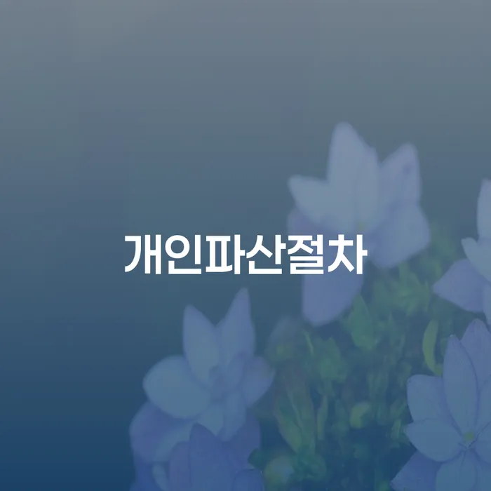 해남군 개인회생 신용회복 상담을통해