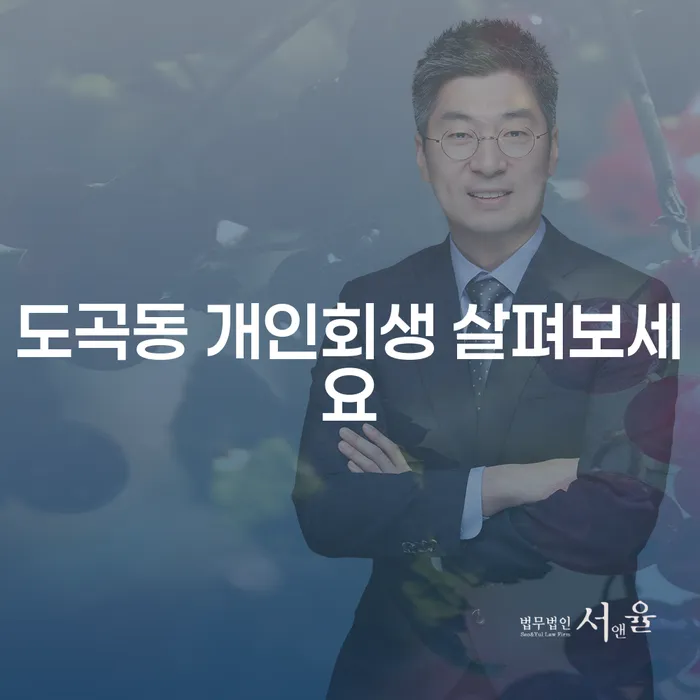 도곡동 개인회생 살펴보세요
