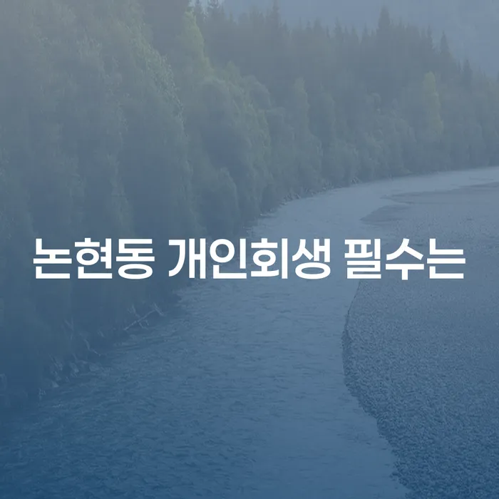 논현동 개인회생 필수는