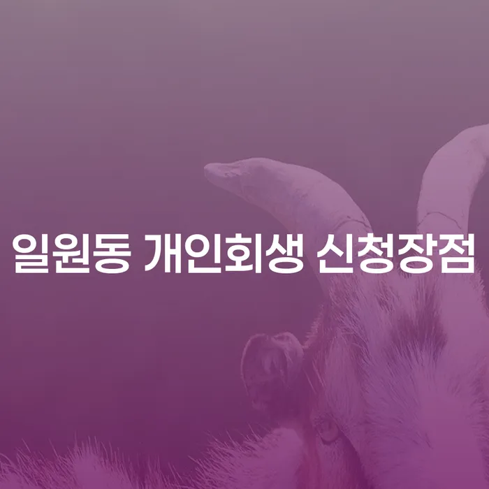 일원동 개인회생 신청장점