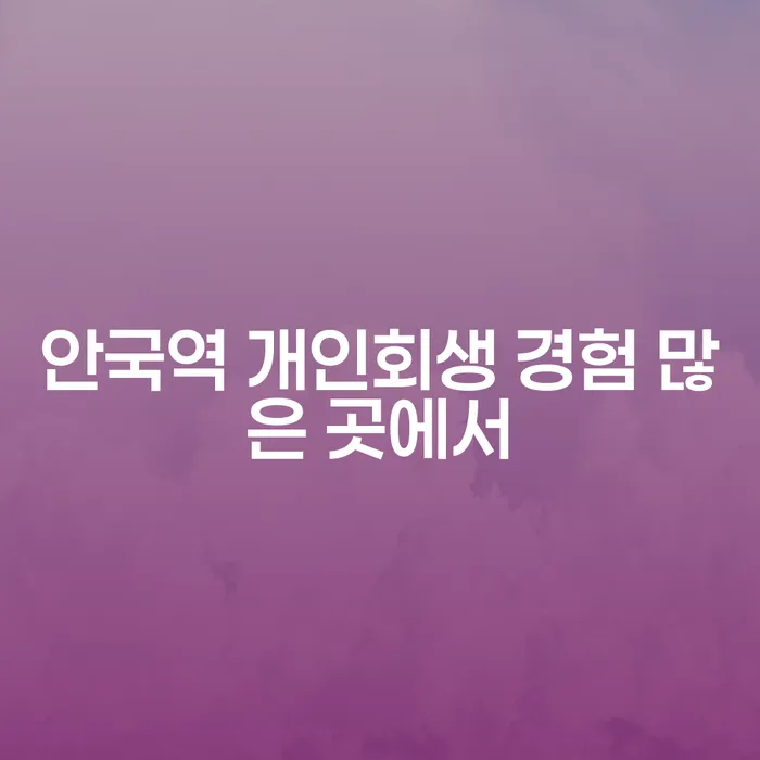 안국역 개인회생 경험 많은 곳에서