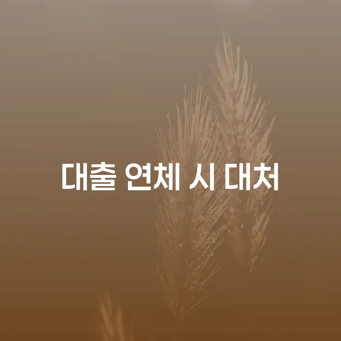 대출 연체 시 대처 방법은 무엇일까요?