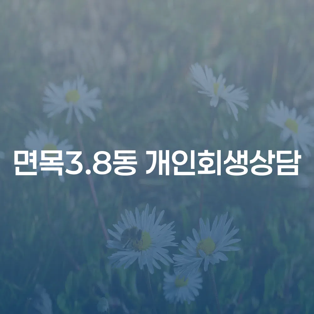 면목3.8동 개인회생상담을 통한 채무 해결의 길잡이