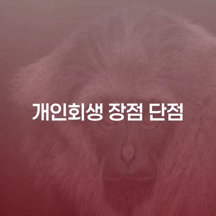 창2동 개인회생 장점과 단점 알아보기