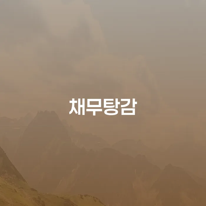 31살 직장인 대출잔액 4250만원, 개인회생과 개인파산 중 어떤 선택이 옳을까요?