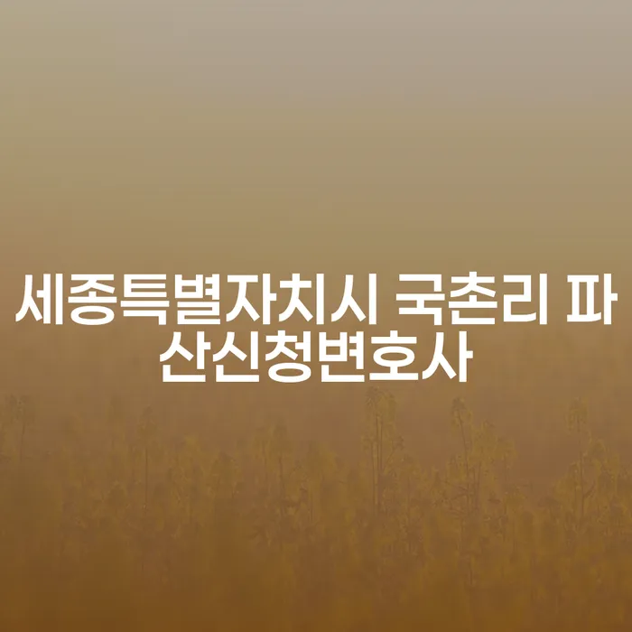 세종특별자치시 국촌리에서 파산신청을 고려하고 계신가요?