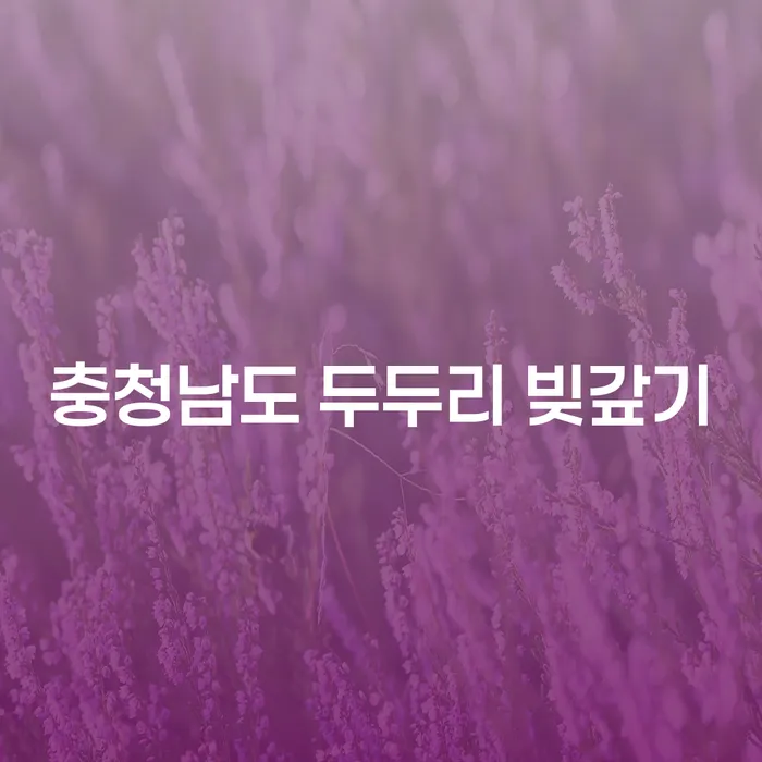 충청남도 두두리 빚갚기와 부산개인회생, 어떻게 해결할 수 있을까?