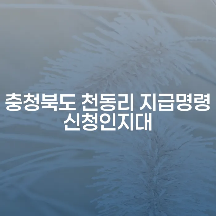충청북도 천동리 지급명령신청인지대와 개인회생파산차이는 무엇인가요?